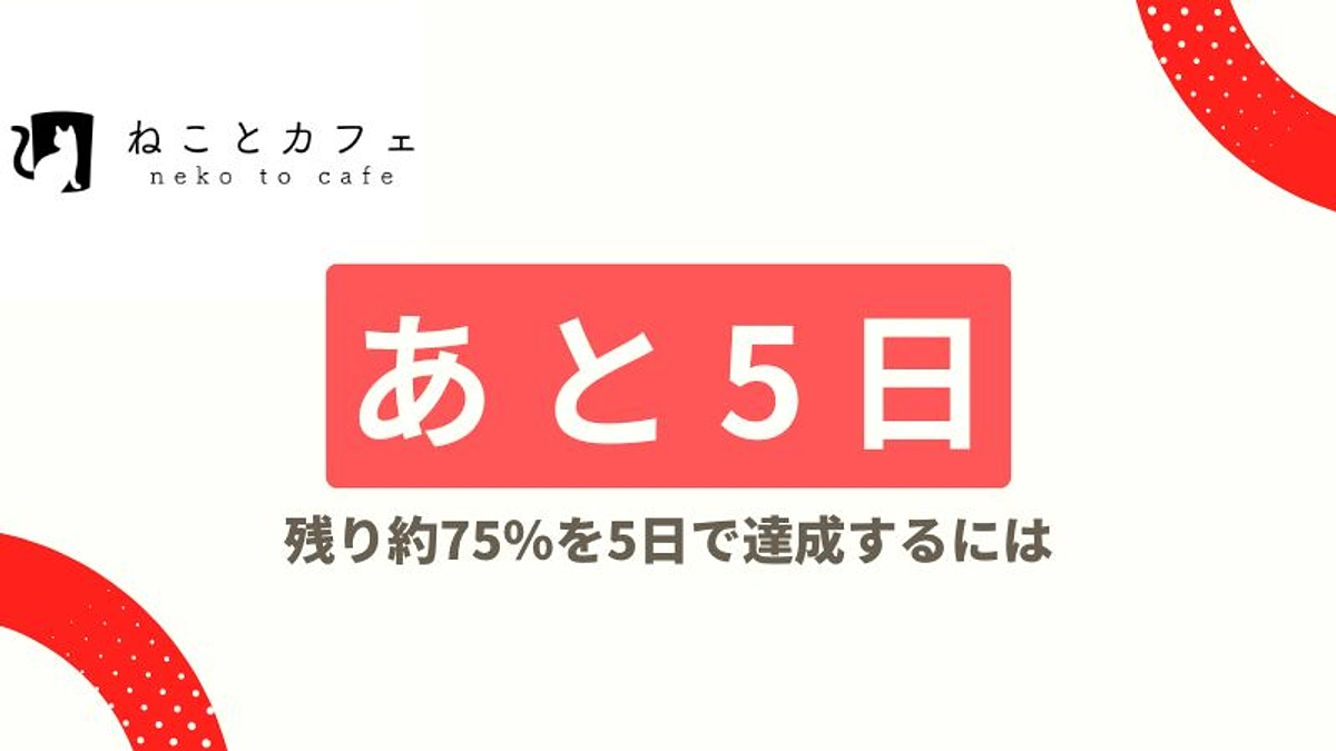【残り5日】猫たちにチャンスの場所を－あなたの支援で実現する保護猫カフェ