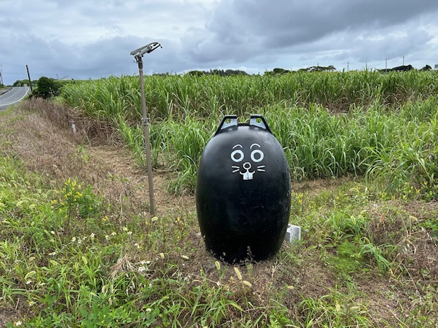 奄美へ行ってきました