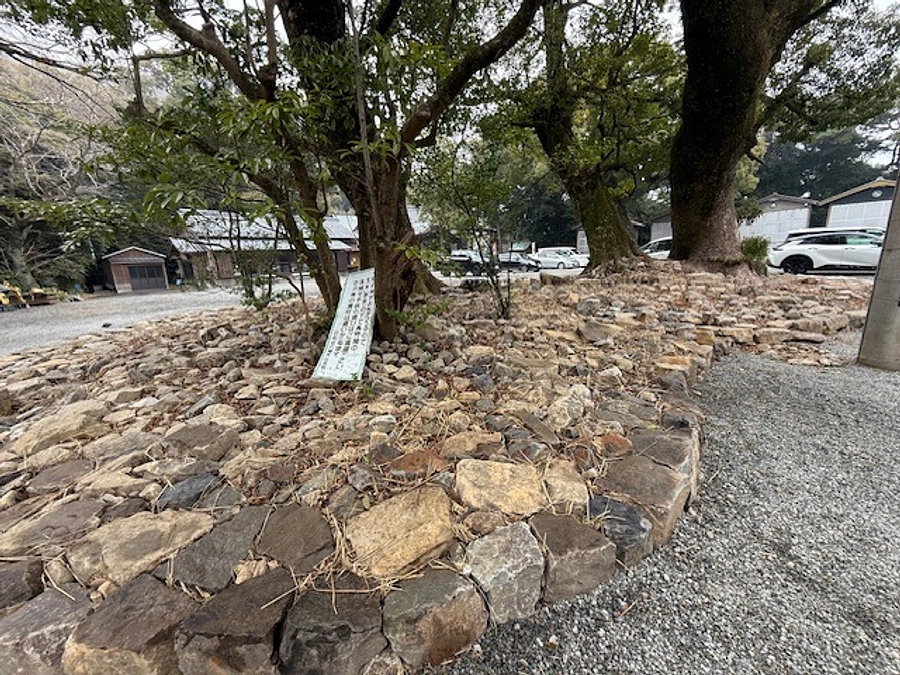 【残り2日】今後のプロジェクト予定！