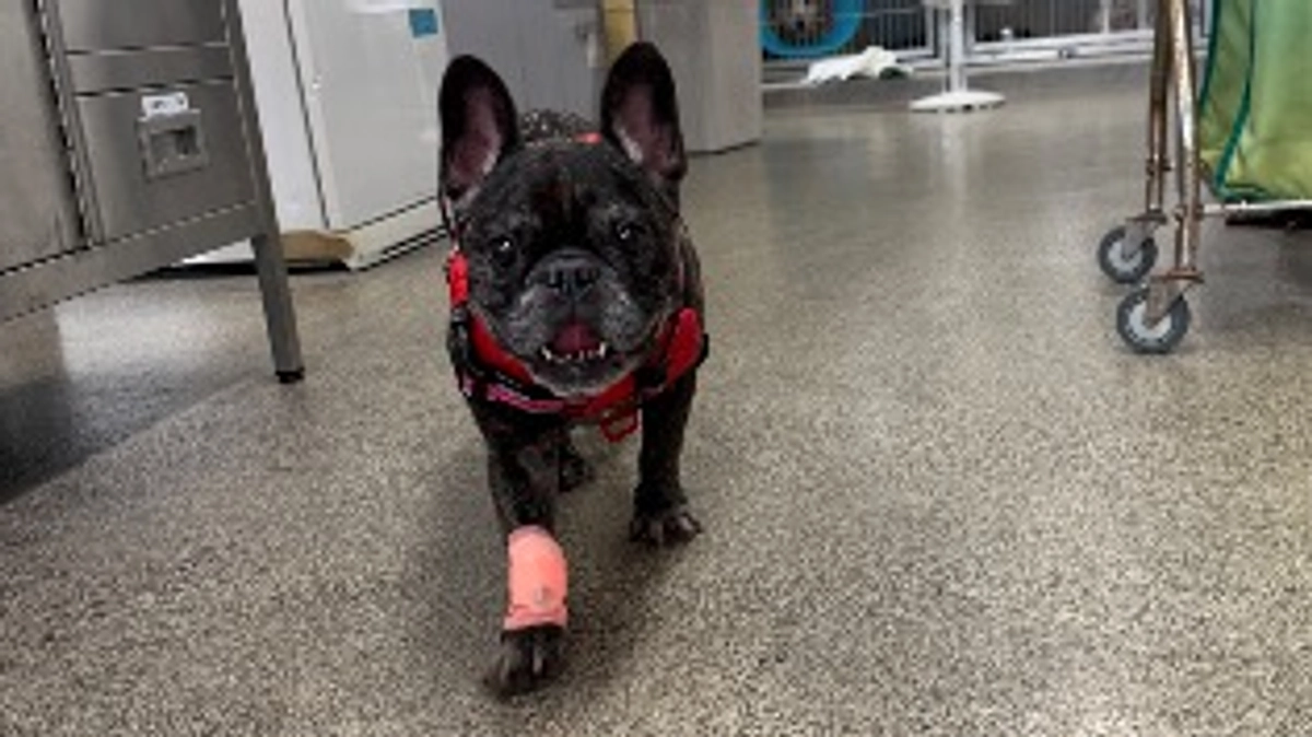 放射線治療中です。