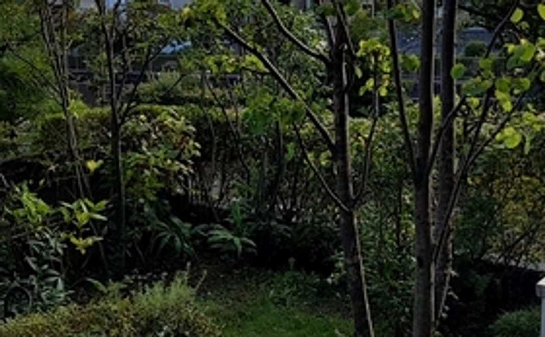 オンライン報告会を開きます！