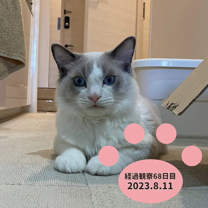 経過観察68日目(2023.8.11)