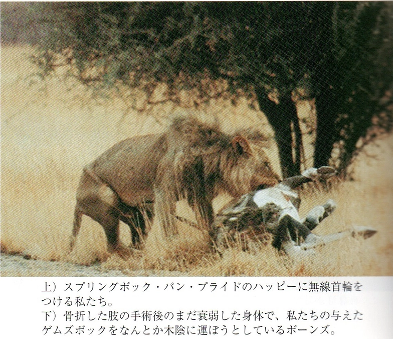 『カラハリは泣いている』、人類の原罪の重さに気づいたために