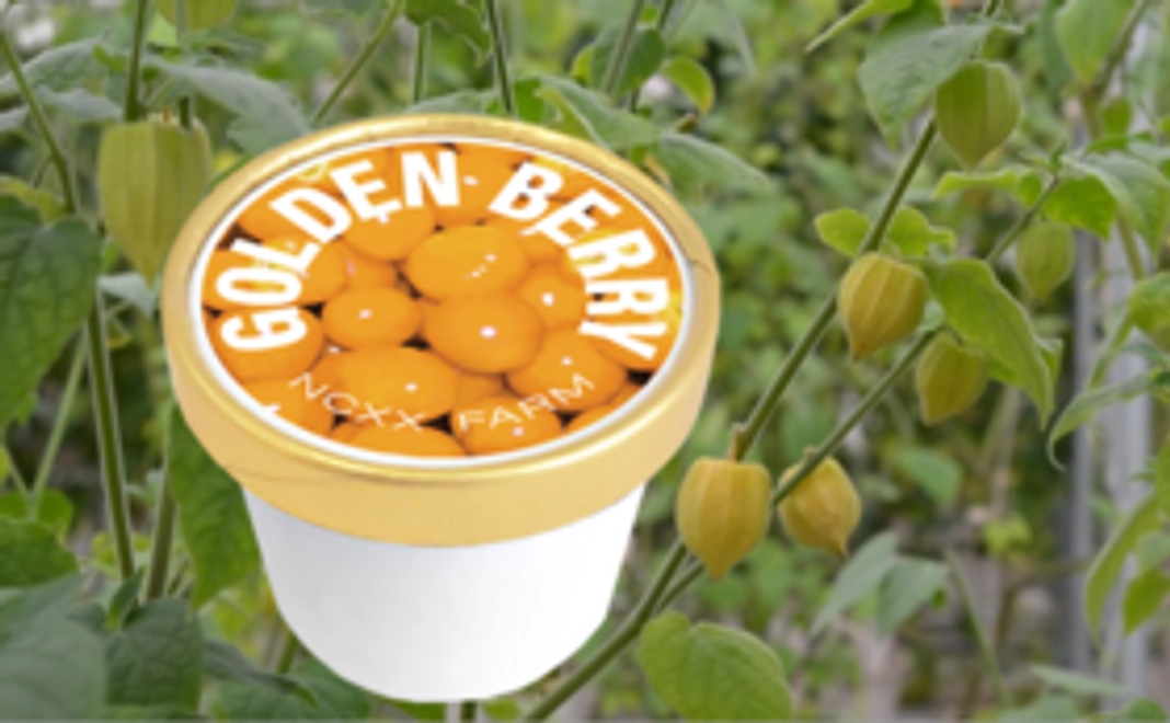 5,000円ご支援コース