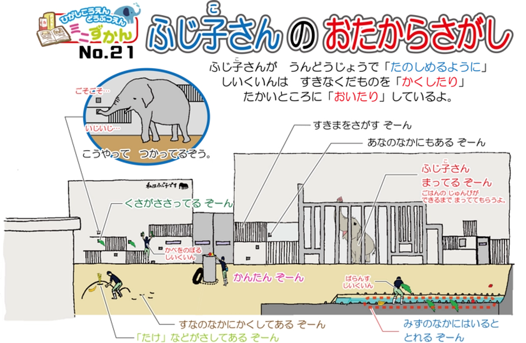 【活動報告㊲】ふじ子さんの運動場で飼育員がしていることとは？