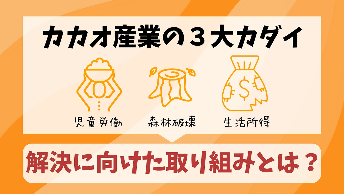 児童労働をゼロにする活動の今：カカオ産業の「ありたい姿」を共有する世界各地のNGOと連携へ！ 