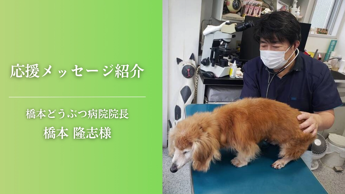 【応援メッセージが届きました！】橋本どうぶつ病院院長　橋本 隆志様