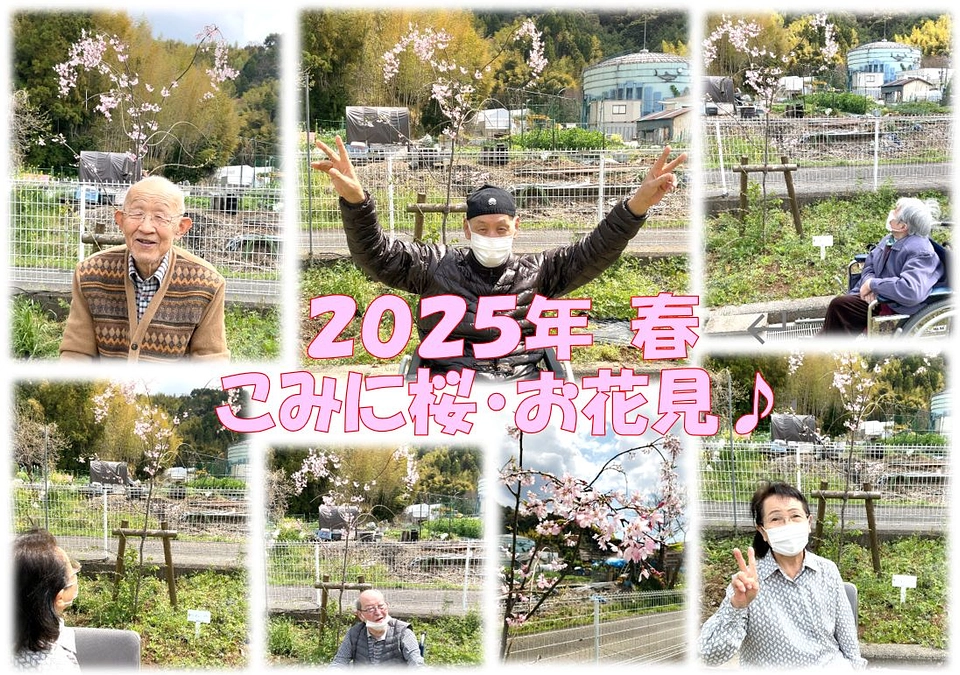 2025年 こみに桜・お花見♪