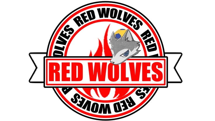 熊本県で新しく女子のハンドボールチームを設立します！