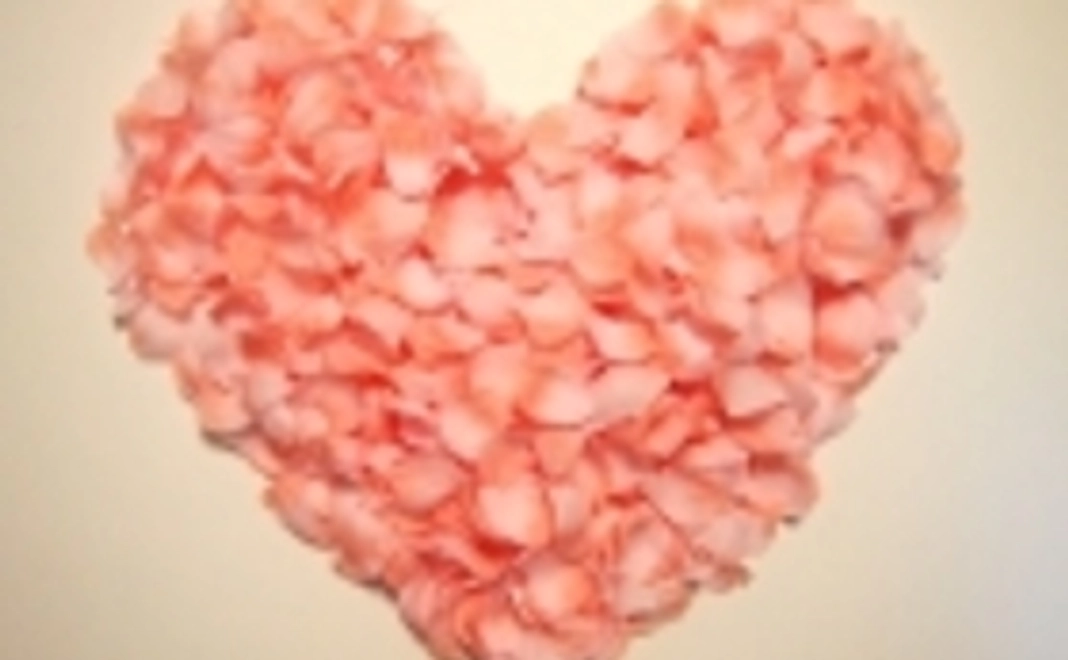 桜の木にあなたのお名前を。