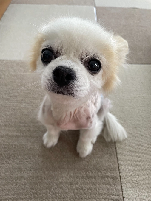 緊急報告です。