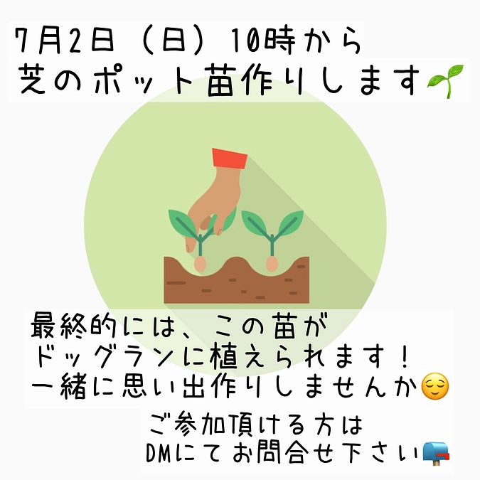 芝のポット苗作り！