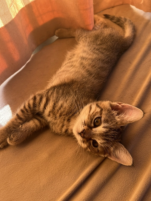 【残り16日】23日目の朝