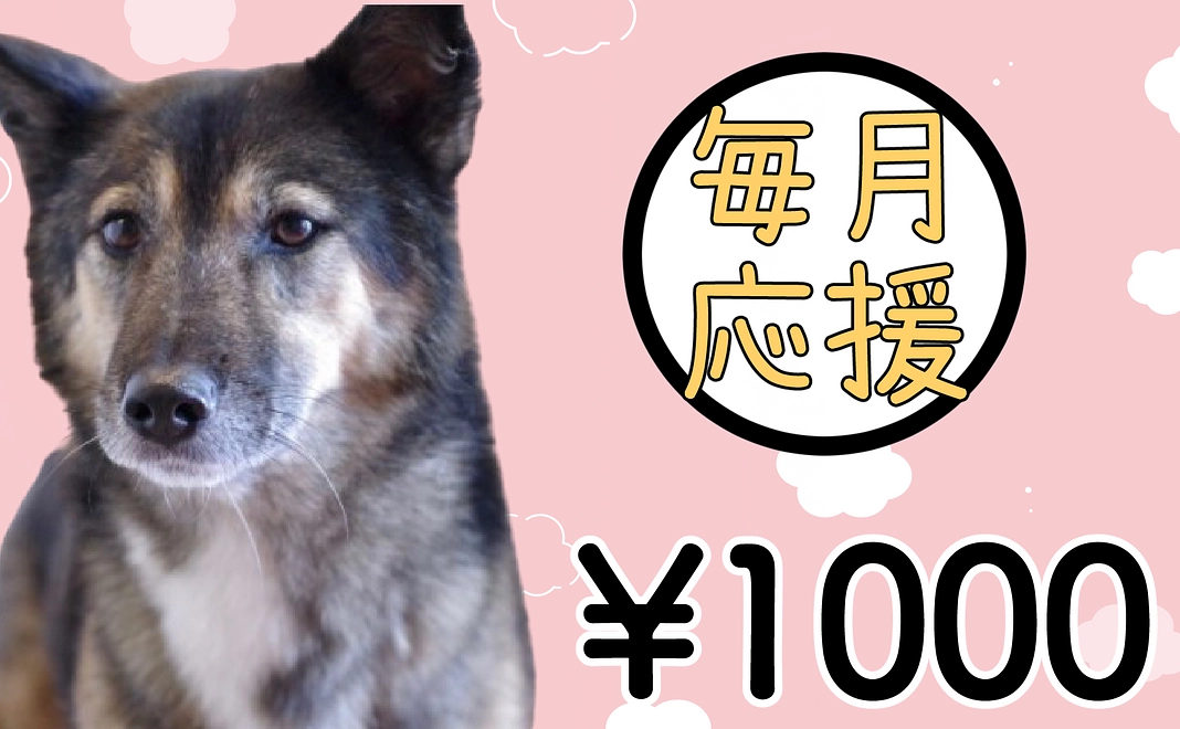 【毎月応援】1000円コース【継続応援】