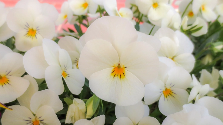 biora「びおら」は、皆さんが歌ってくつろげる、生活応援の空間。