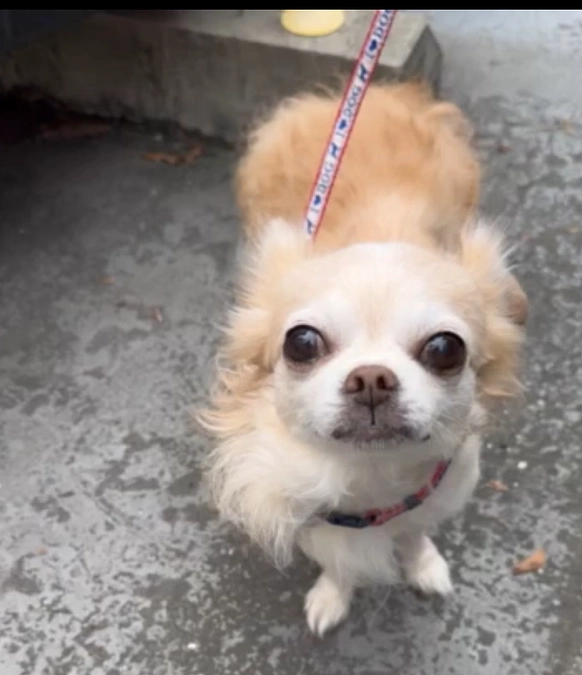 9/25 1か月半の検診に行ってきました。