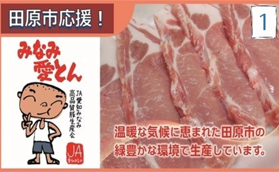 1 田原市特産品の豚肉「みなみ愛とん」をお届け！コース