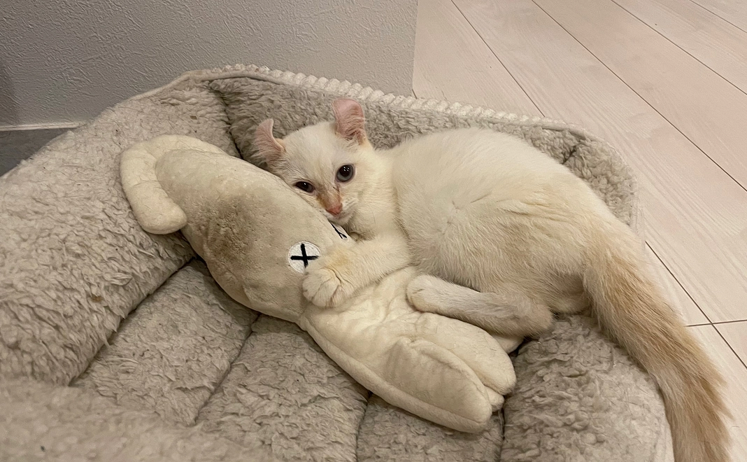 支援1＊リザから感謝のメッセージ