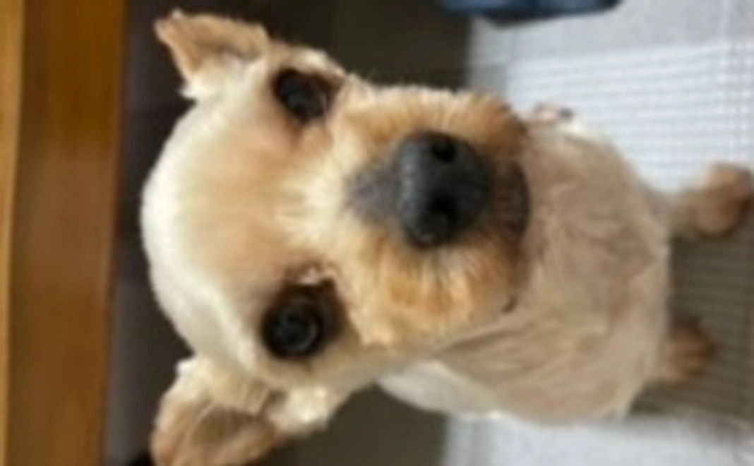 マーチ頑張ったね‥２