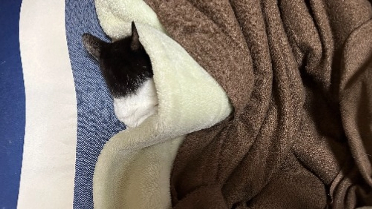 たくさん一緒に寝ようね