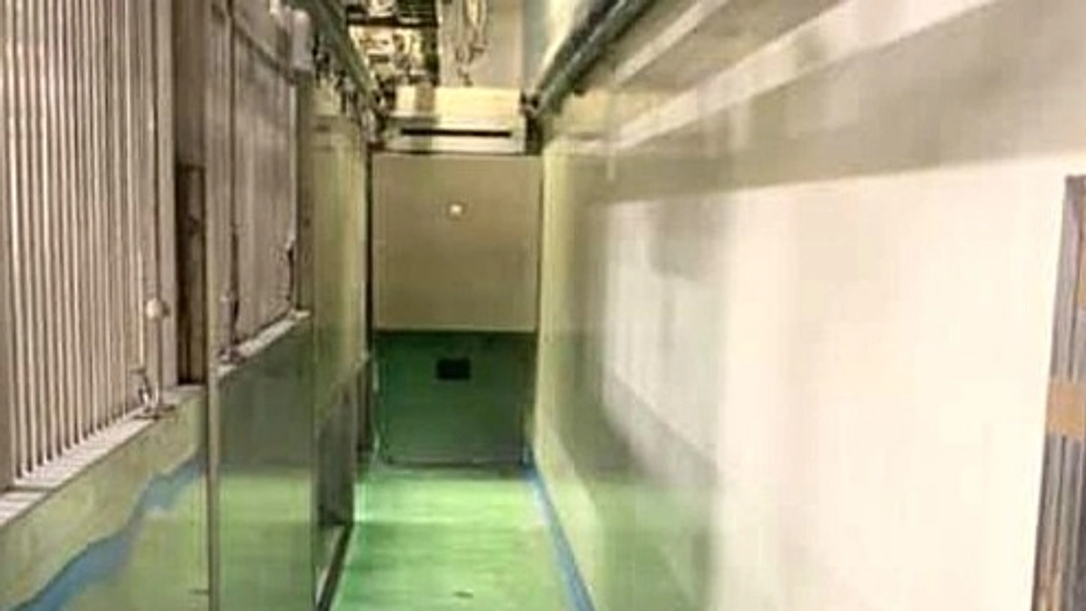 【実話】あの日、僕は殺処分機の中に入った。狭く冷たい金属の箱の中で……