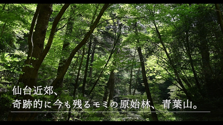100年間受け継がれてきた植物標本を次世代へ｜東北大学植物標本庫 2枚目