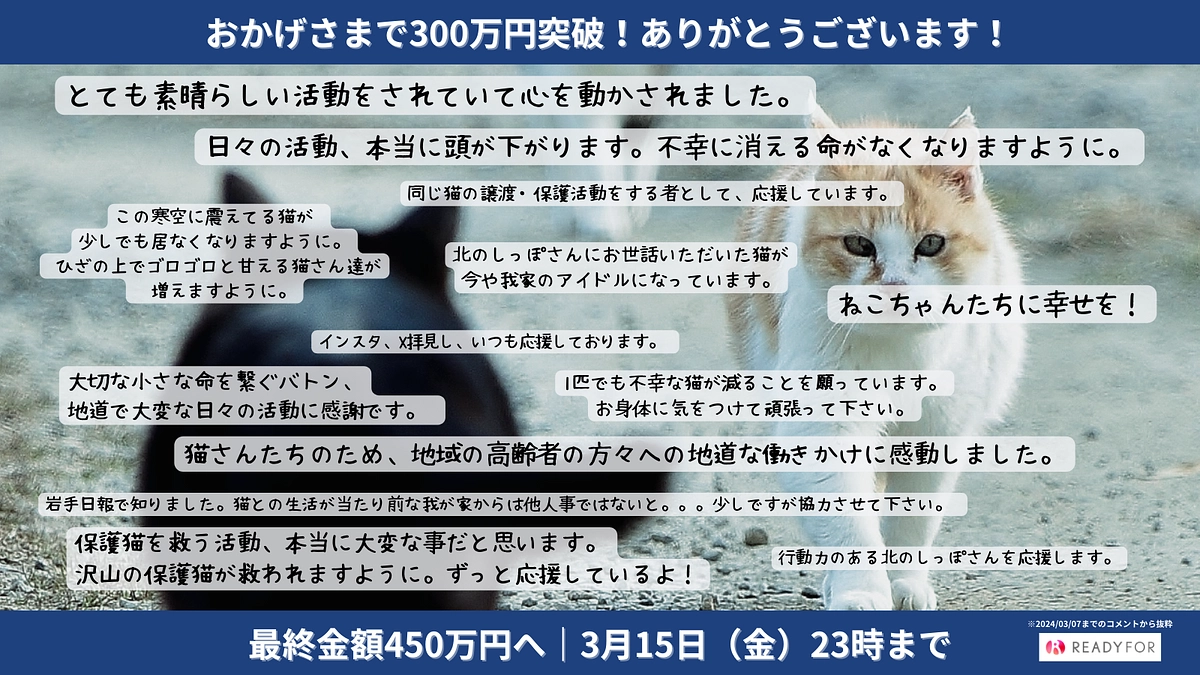 残り【4日】嬉しい応援のコメントをご紹介させていただきます