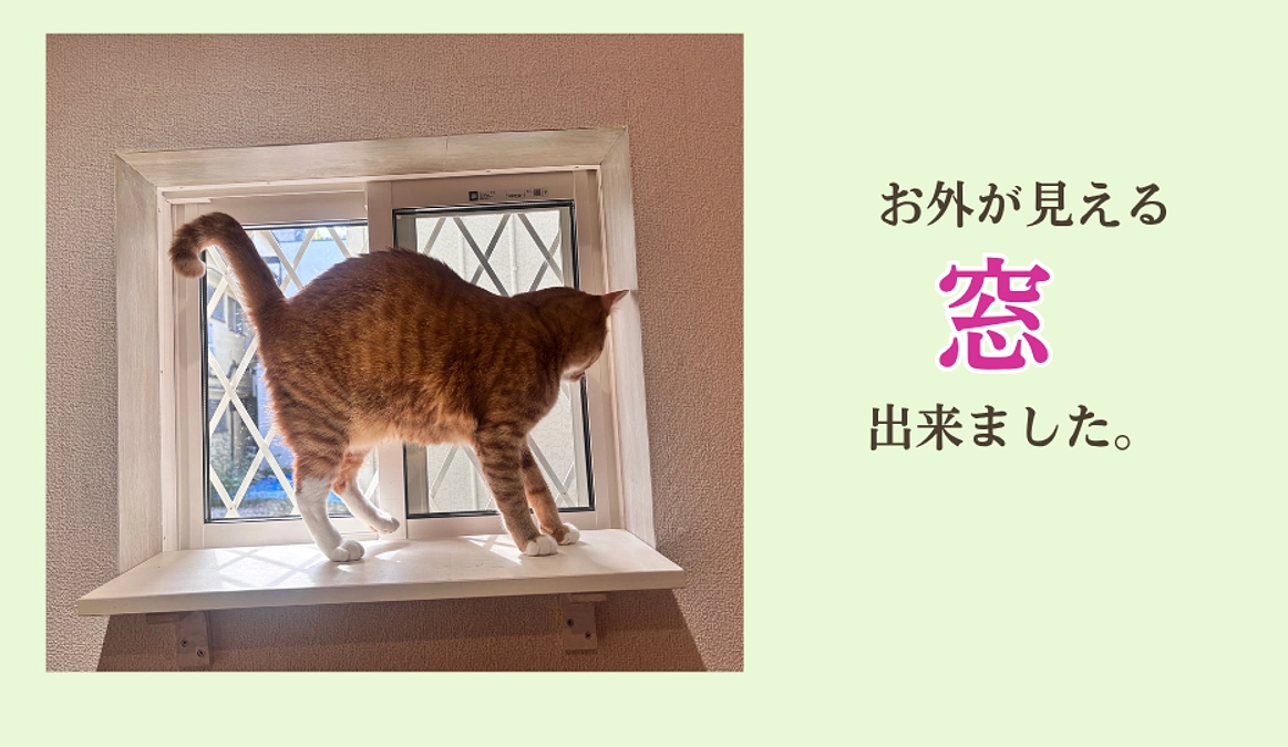 🪟ご支援のおかげで、新しい窓が完成しました✨