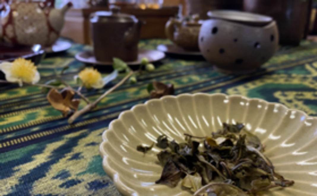 メンバーによるワークショップ「国友農園による森のお茶会（りぐり山茶の飲み比べ体験）」へご招待