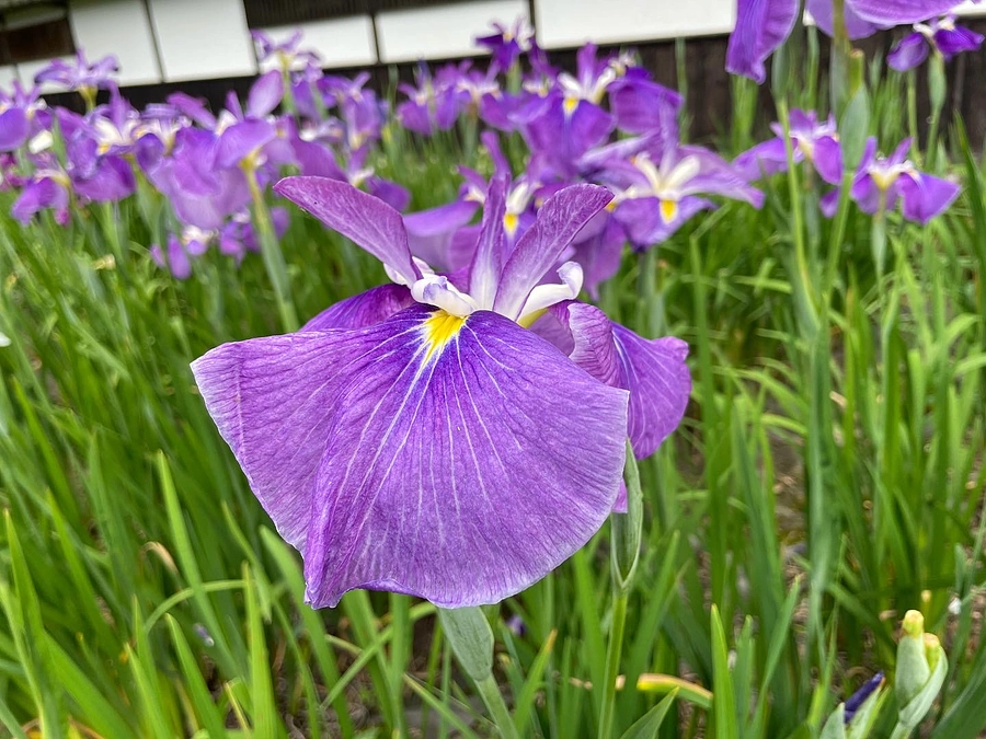 【感謝】おかげ様で100万円突破しました【祝】