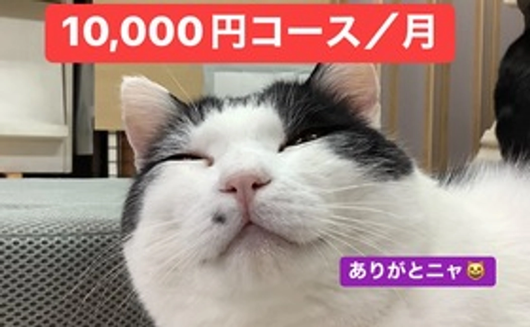 毎月10000円コース