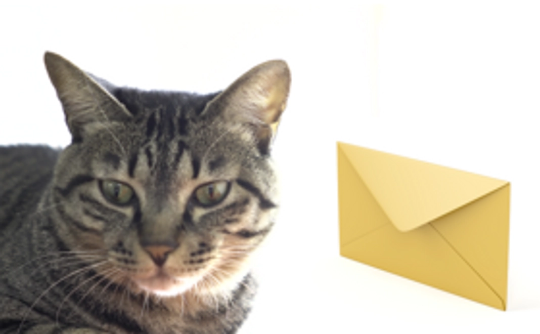 【３千円コース】お礼のメールをお届け