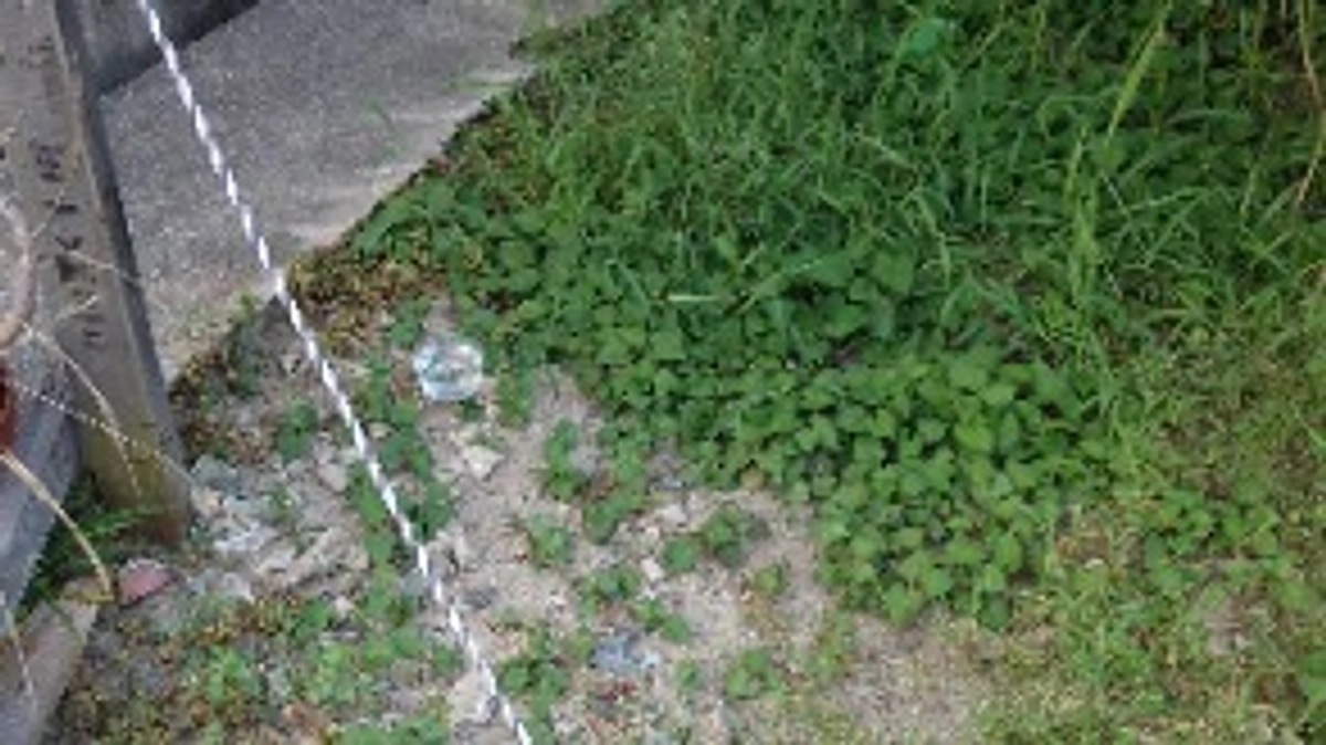 猫の水の件で私の同行者が暴力をふるわれました