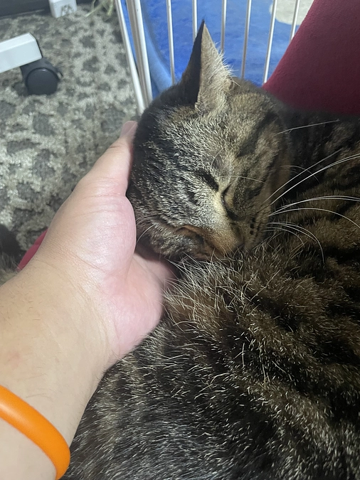 ありがとうございます