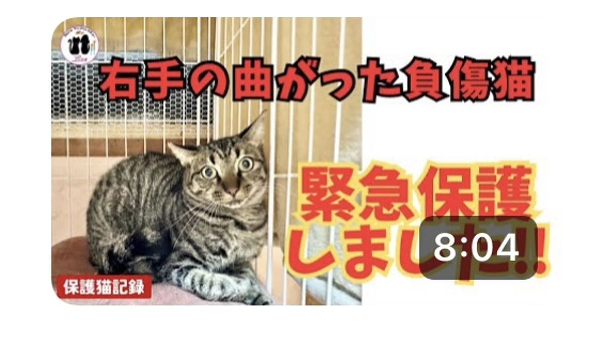 今日の福ちゃん