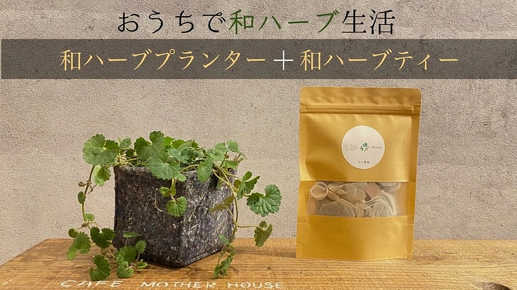 【滋賀の農園発】手軽におうちで完全無農薬の和ハーブ生活が楽しめます