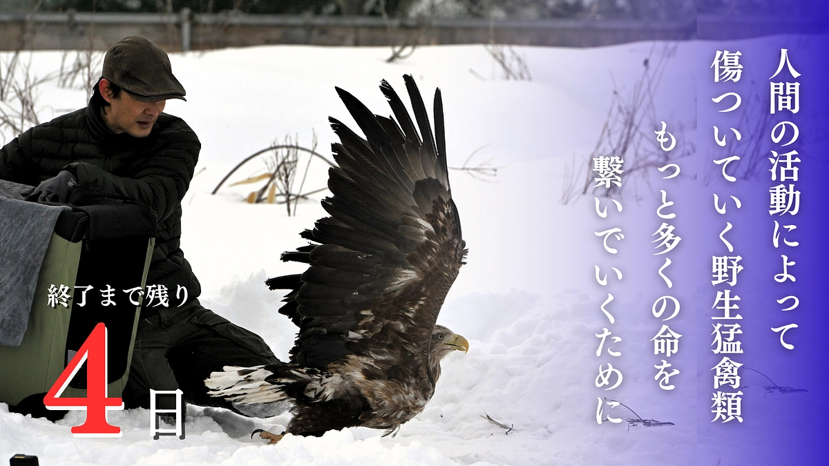 終了まで残り4日！応援メッセージのご紹介