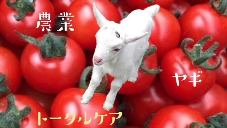 ヤギと農業が教えてくれること～障がい者の可能性とトータルケア