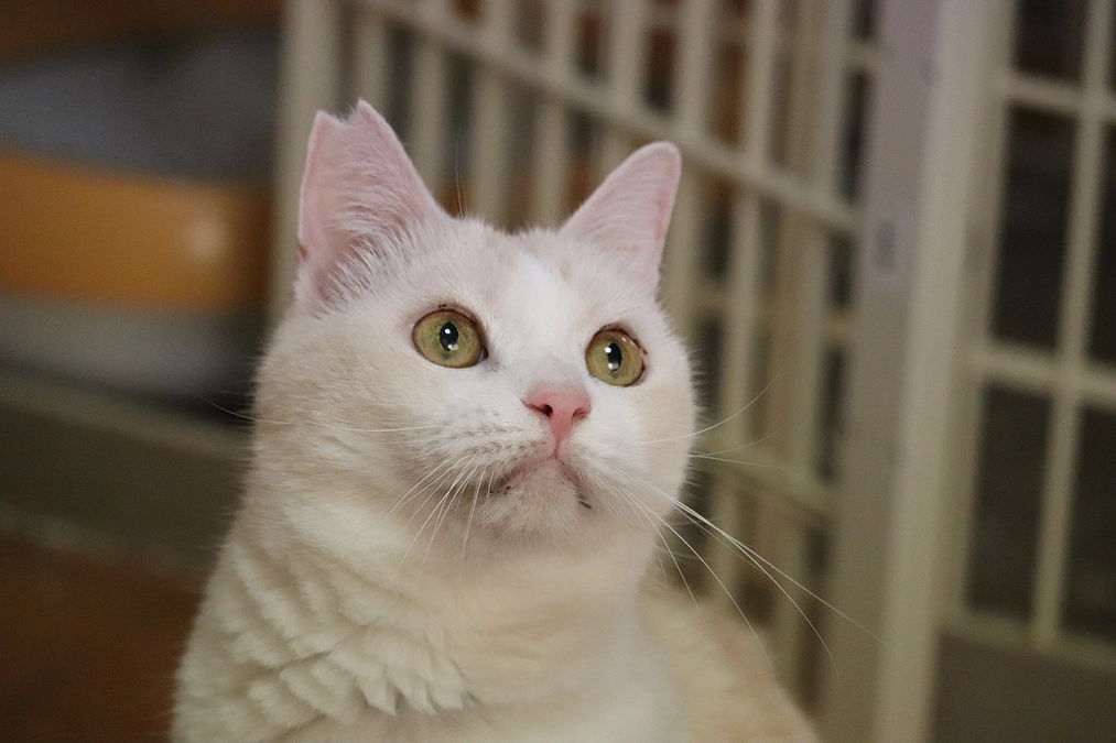 達成しました！