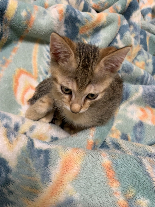 リターンについて