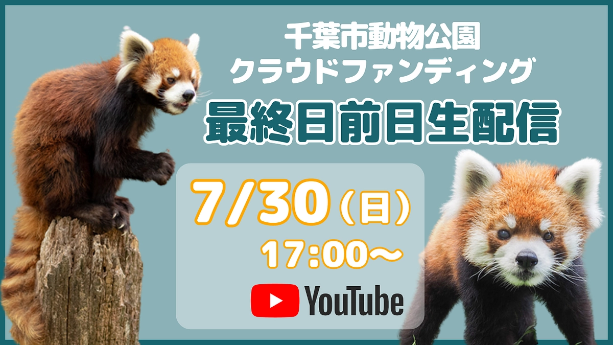 【7月30日17時〜】千葉市動物公園 クラウドファンディング最終日前日生配信