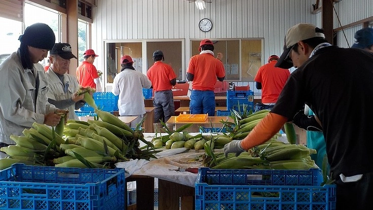 過疎地の農業と福祉と災害を結ぶ輪を作る