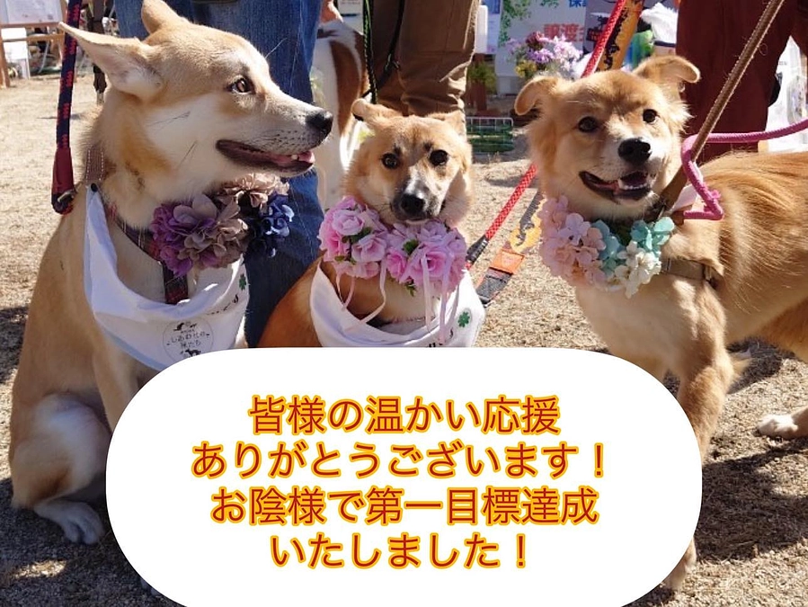 第一目標達成のお礼とネクストゴールについて