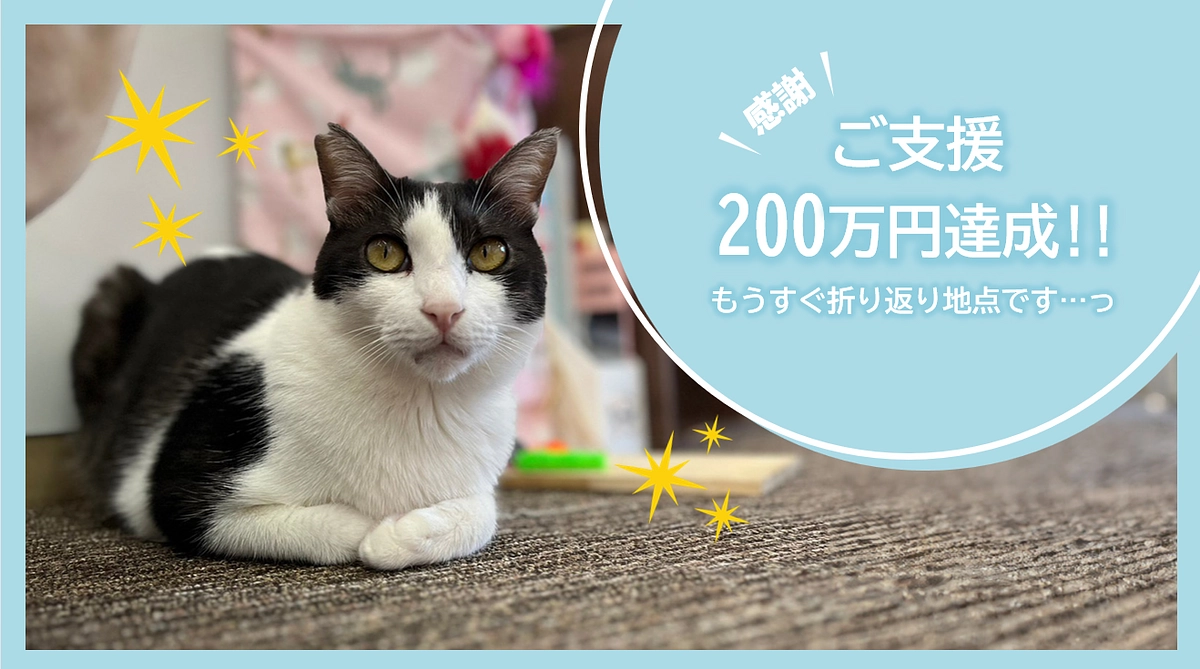 ご支援200万円達成！！もうすぐ折り返り地点です…っ