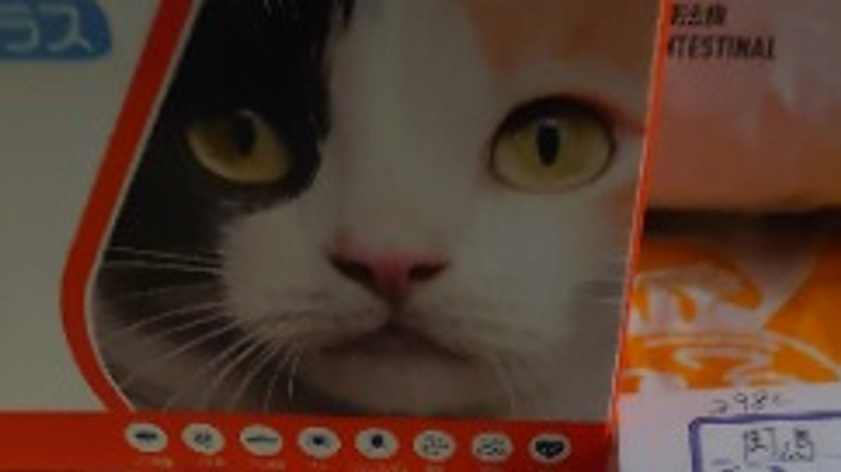 動物病院での購入品