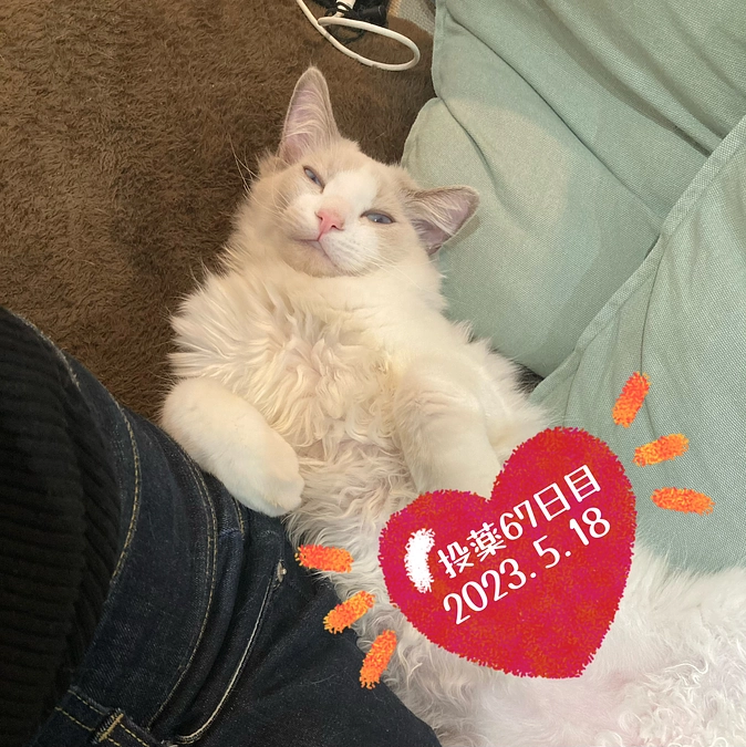 投薬６７日目(2023.5.18)&ご支援のお知らせ