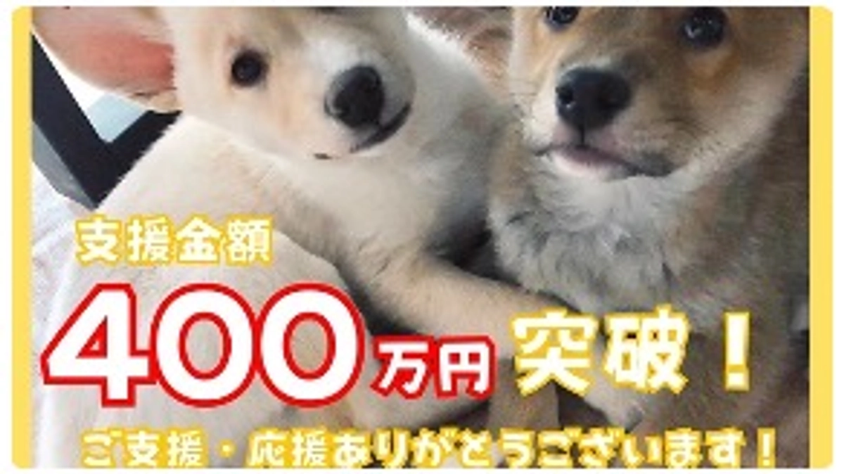 支援者様281名様！支援金額400万円を突破しました！