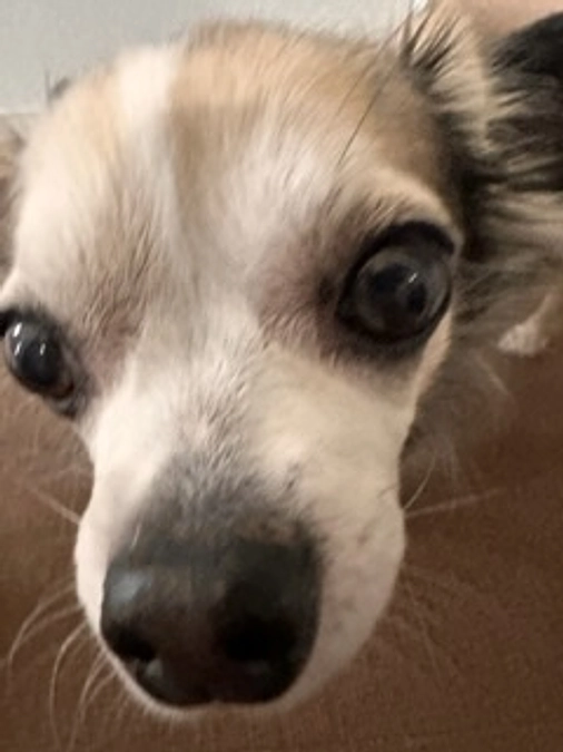 🔥🔥一歩づつ前進🔥🔥