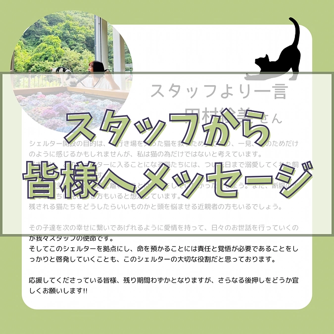 【あと1日！】頼もしい仲間たちから皆様へメッセージ