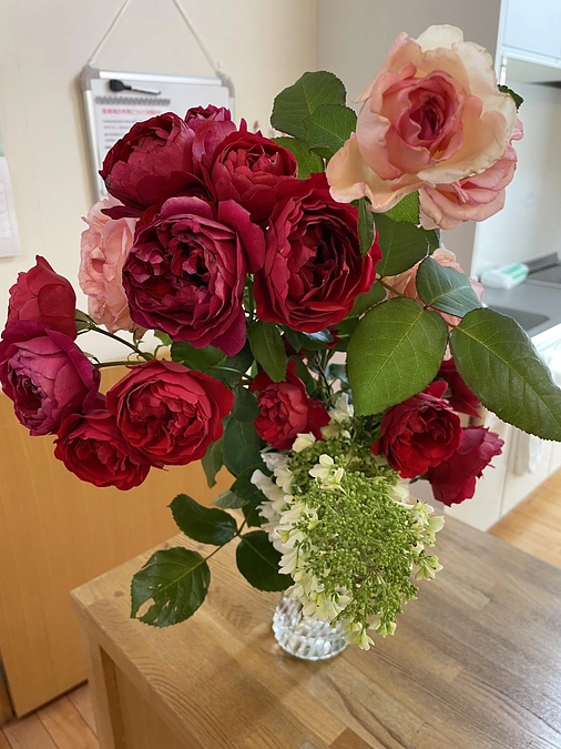 目標金額の50％を達成いたしました！！